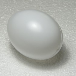 Uovo in plastica bianca