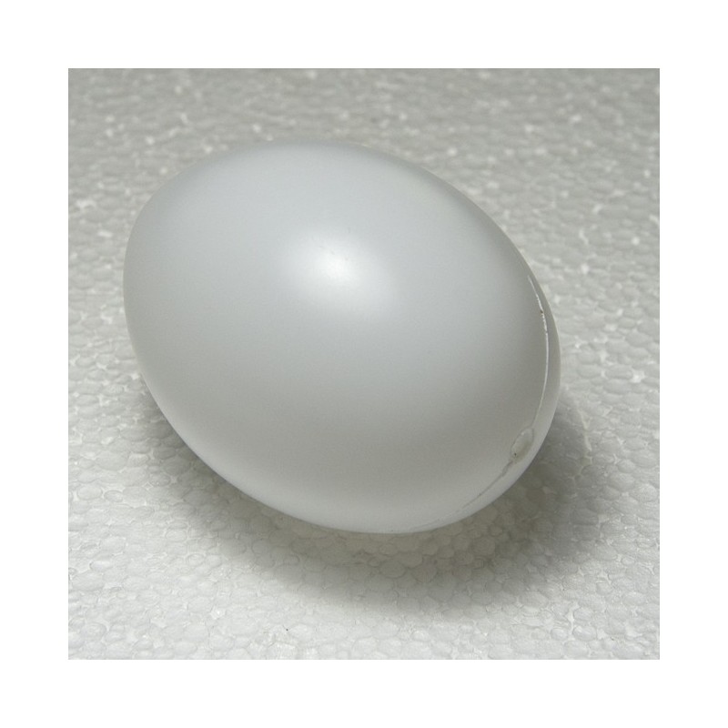 Uovo in plastica bianca